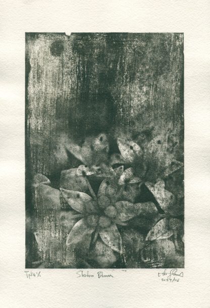 Shadow Bloom - art print - Niko Skorpio