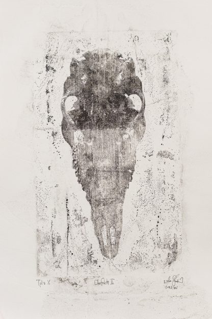 Ekofakti II - Niko Skorpio - paper lithograph