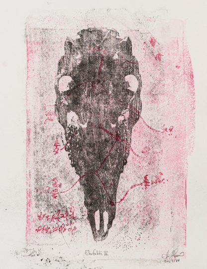 Ekofakti III - Niko Skorpio - paper lithograph