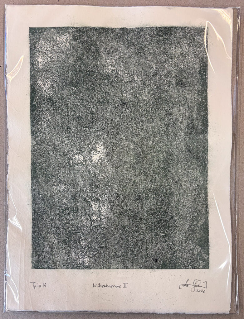 Niko Skorpio - Lithograph - Mikrokosmos II