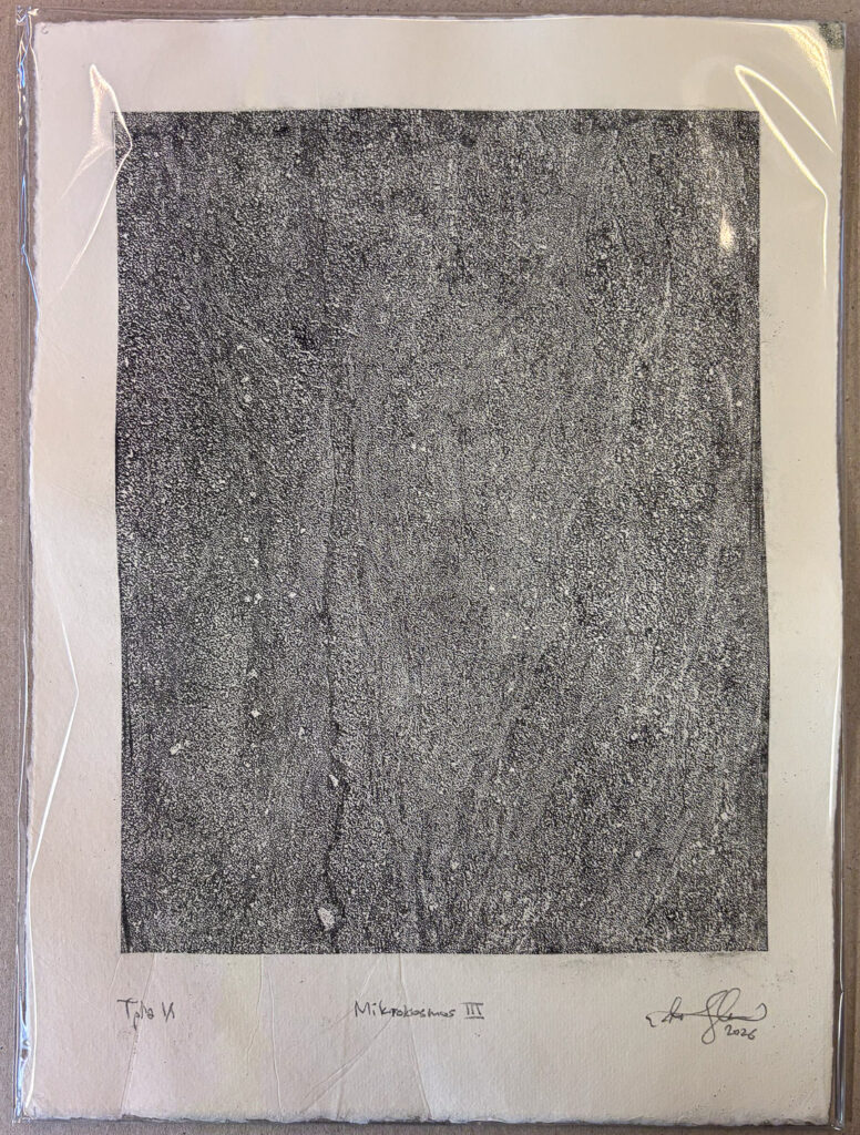 Niko Skorpio - Lithograph - Mikrokosmos III