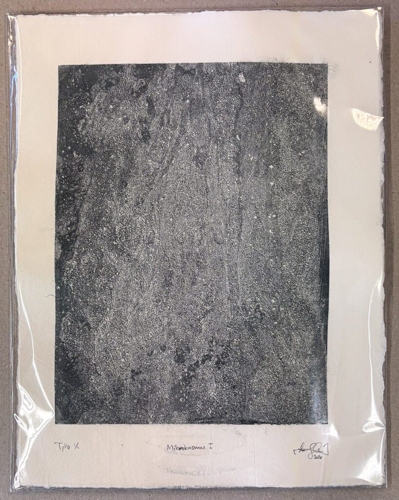 Niko Skorpio - Lithograph - Mikrokosmos I